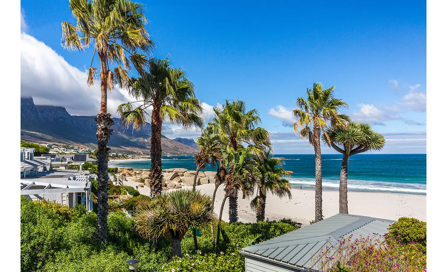Perfect Hideaways: A panoramic ocean view framed by swaying palm trees, with the Twelve Apostles mountain range in the background and the pristine beach below. Dolphin Cottage, Camps Bay.