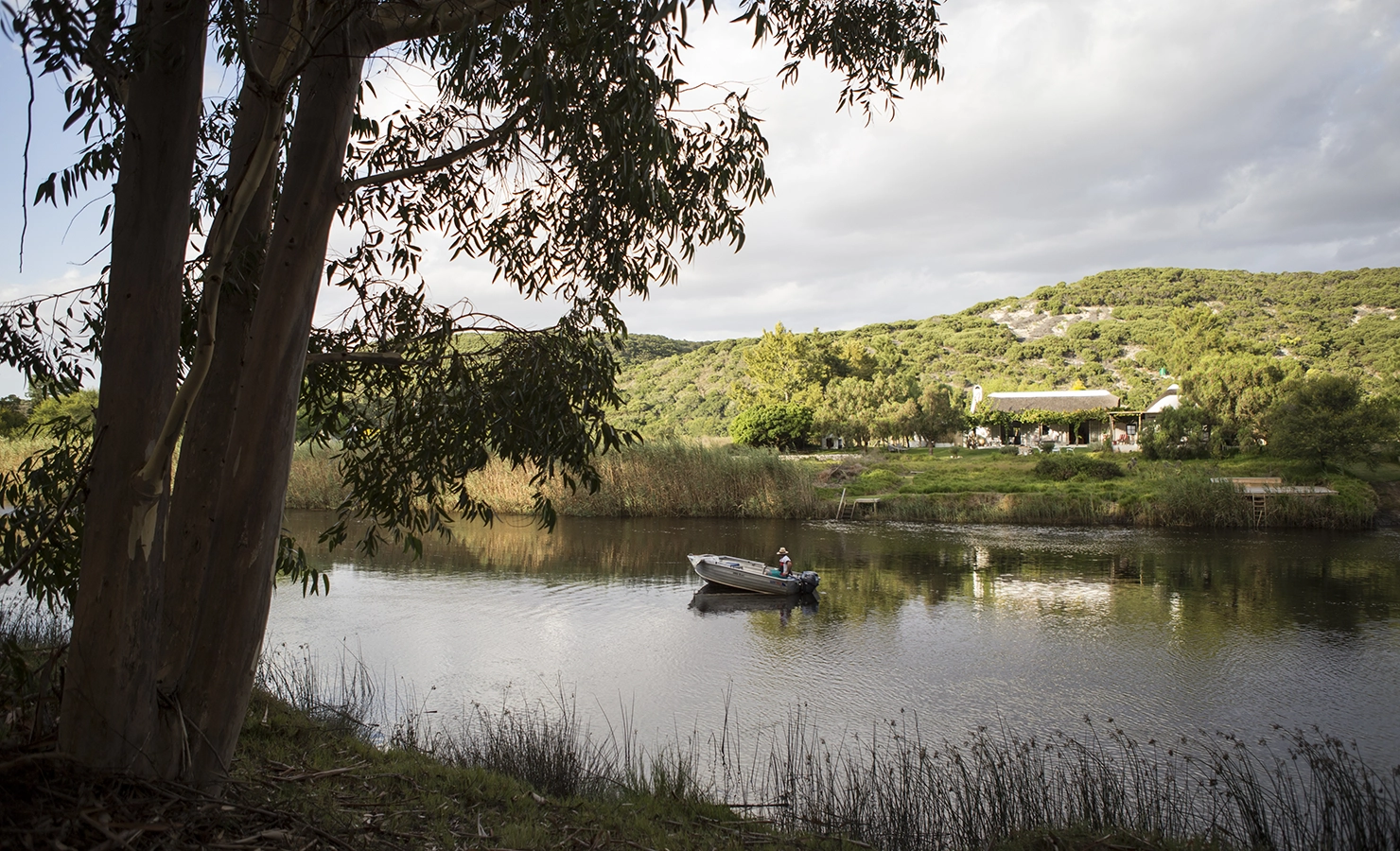 Perfect Hideaways: A serene river scene framed by eucalyptus trees, with a small boat floating on calm waters and a lush green hillside in the background. Hill House, Vermaaklikheid.