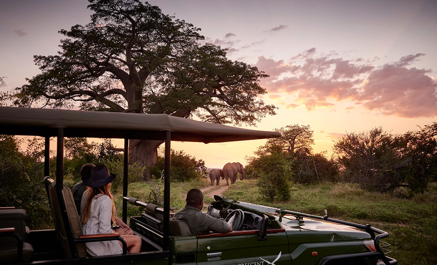 Packing perfect safari trip