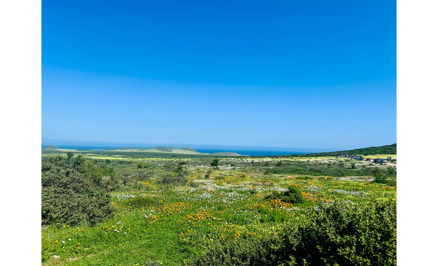Perfect Hideaways: A sweeping view over a vibrant wildflower-strewn landscape leads to the blue waters of the Atlantic Ocean under a cloudless sky. Kinsail Beach Villa, Langebaan.