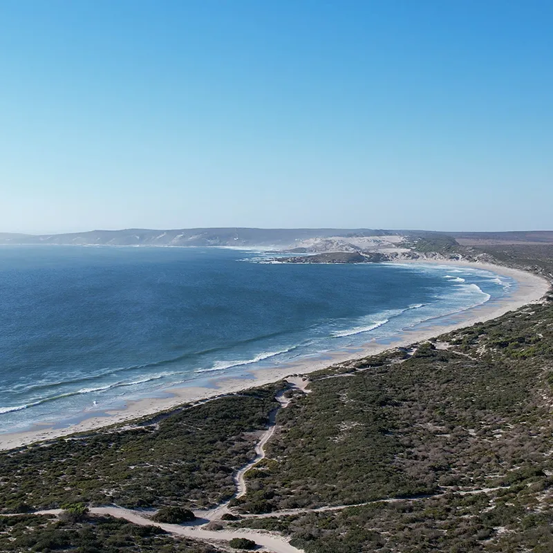 06_thumbnail__south africa_western cape_west coast_parternoster_trekoskraal farm_ph