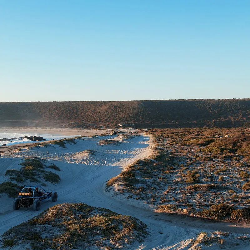 10_thumbnail__south africa_western cape_west coast_parternoster_trekoskraal farm_ph