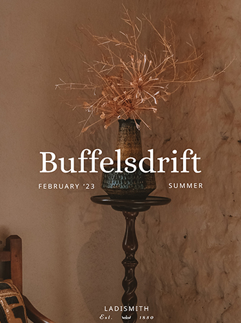 Obsessively Creative Directed February 2023 BUFFELSDRIFT