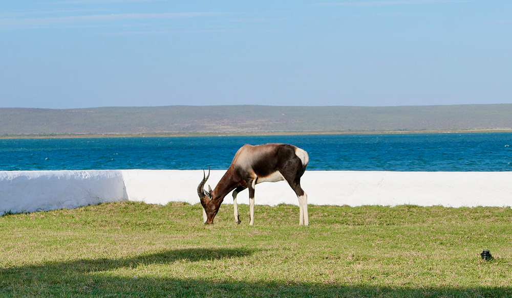 Perfect Hideaways, Schrywershoek Beach House, Schrywershoek, West Coast National Park, Western Cape, South Africa