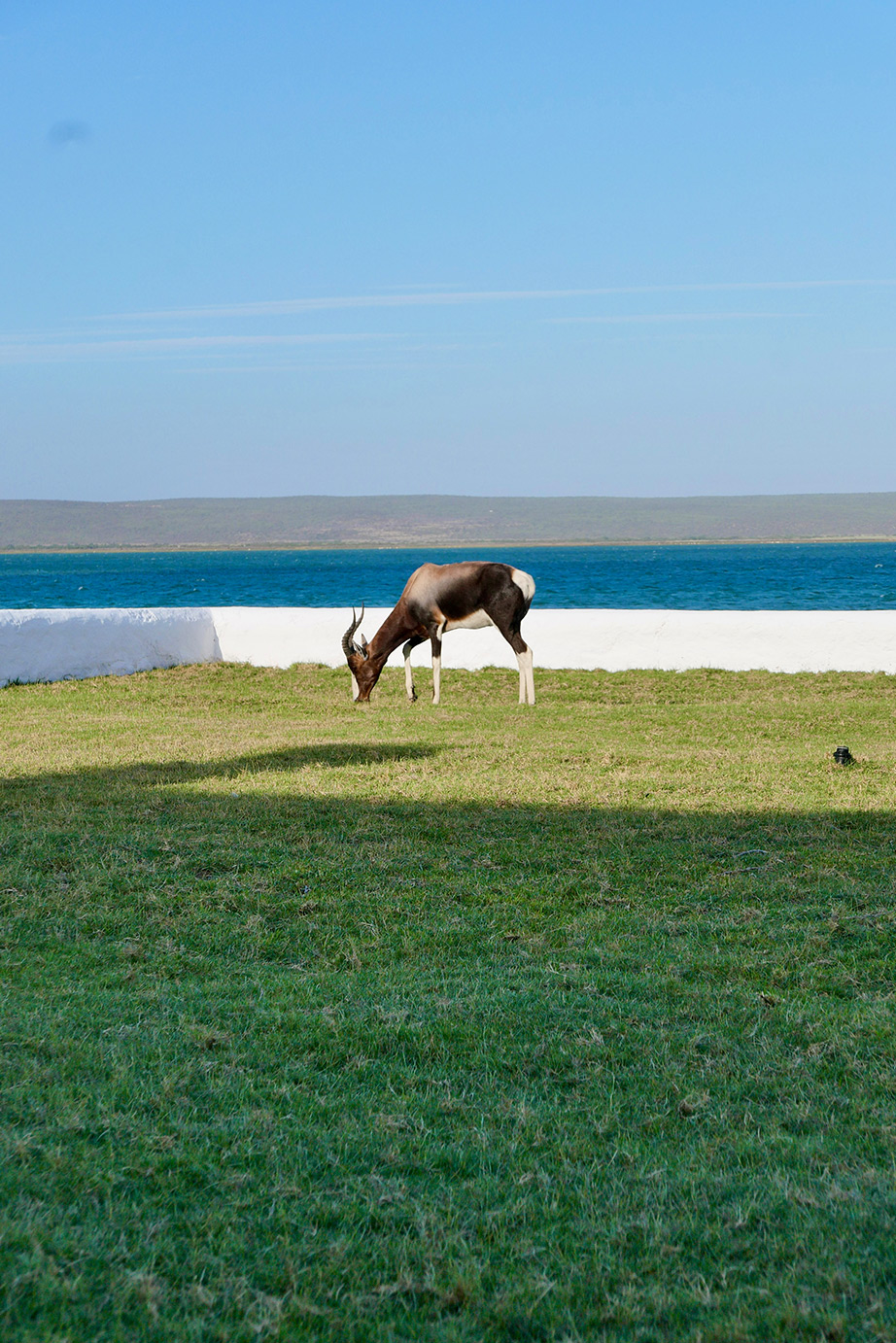 Perfect Hideaways, Schrywershoek Beach House, Schrywershoek, West Coast National Park, Western Cape, South Africa