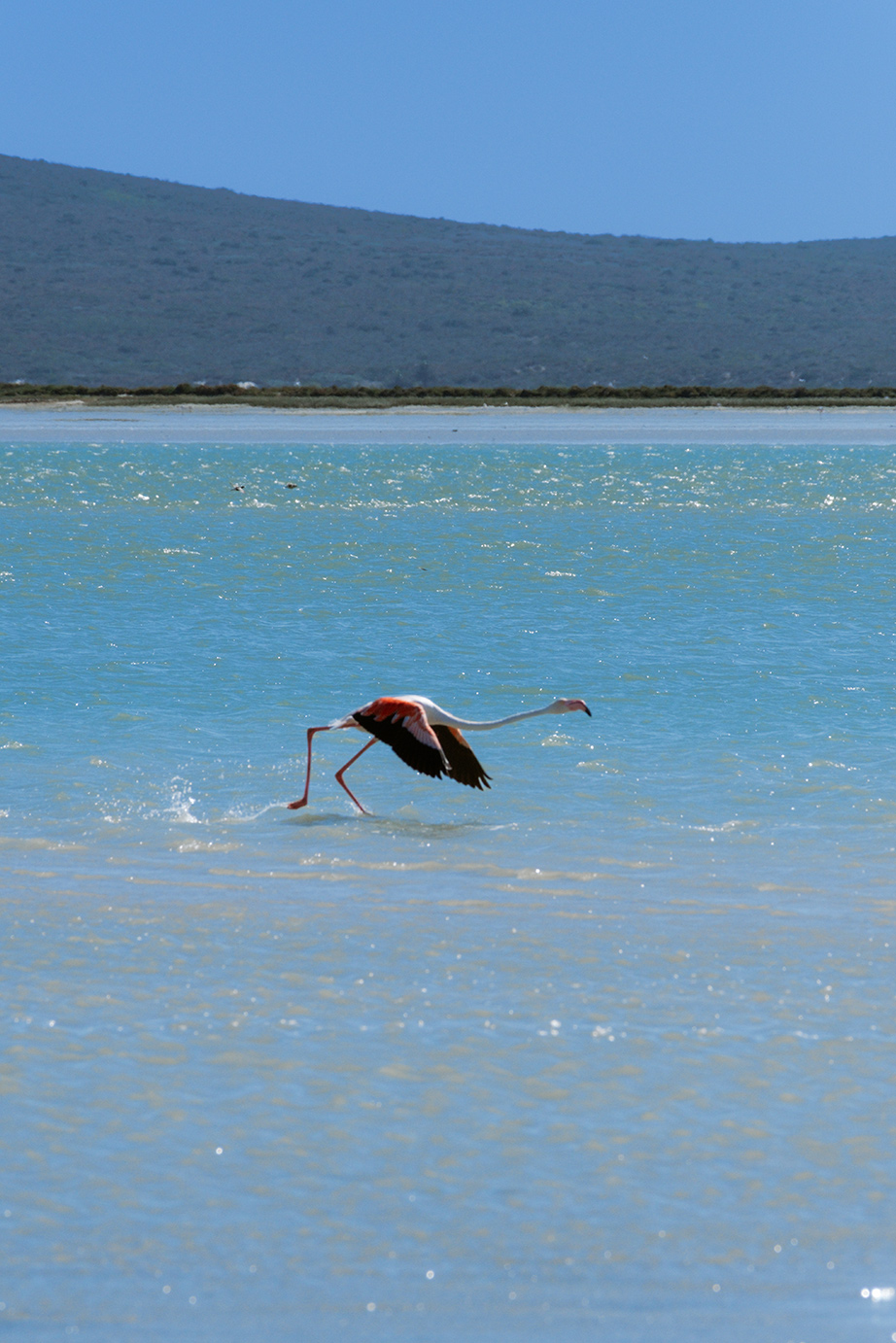 Perfect Hideaways, Schrywershoek Beach House, Schrywershoek, West Coast National Park, Western Cape, South Africa