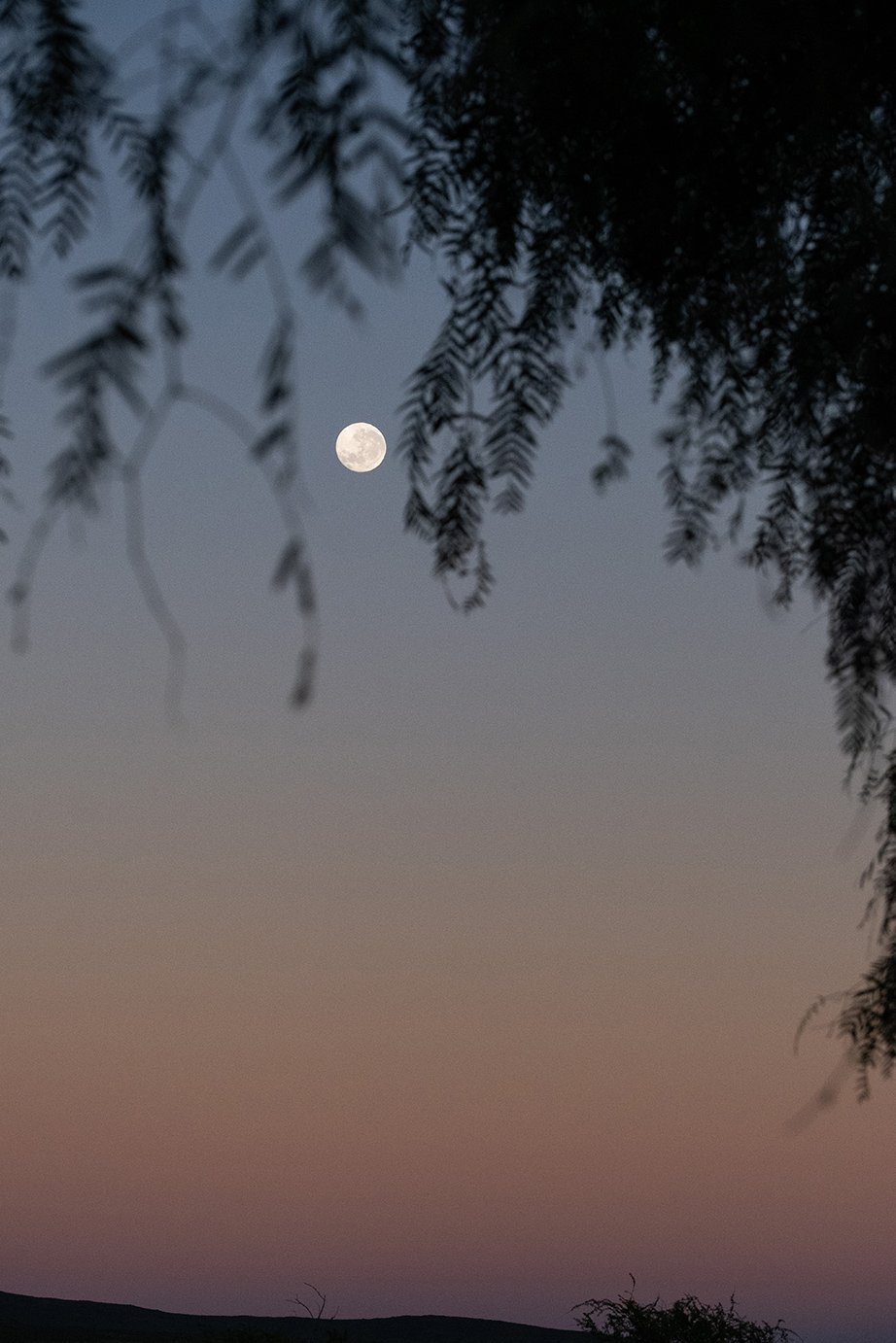 Moonlit night in the Karoo. Perfect Hideaways, De Kruis, Tankwa Karoo, Northern Cape, South Africa.