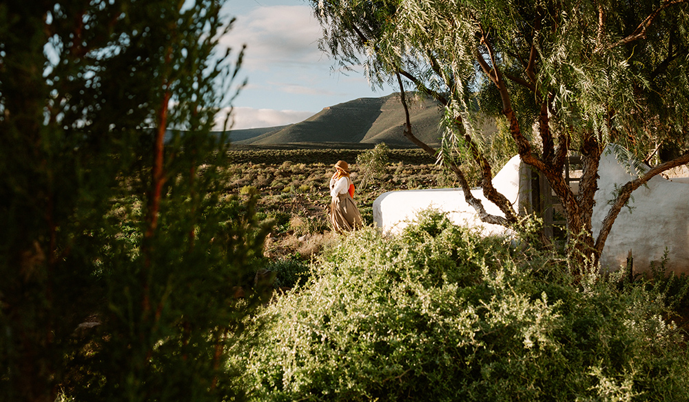 Vegetable garden, early morning light, low farm wall, wooden gate. Perfect Hideaways, De Kruis, Tankwa Karoo, Northern Cape, South Africa.