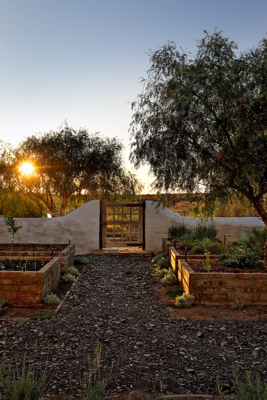 Vegetable garden, early morning light, low farm wall, wooden gate. Perfect Hideaways, De Kruis, Tankwa Karoo, Northern Cape, South Africa.