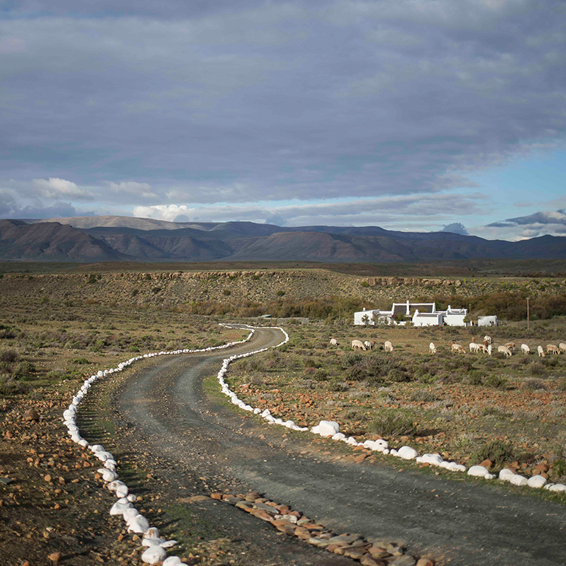 Shoot Location category karoo semi desert