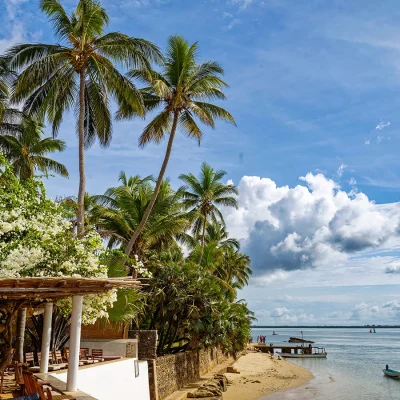 Peponi Hotel verandah protected by a bamboo pergola with overgrown white bougainvillea and surrounded by large palm tree's set on the Indian Ocean.