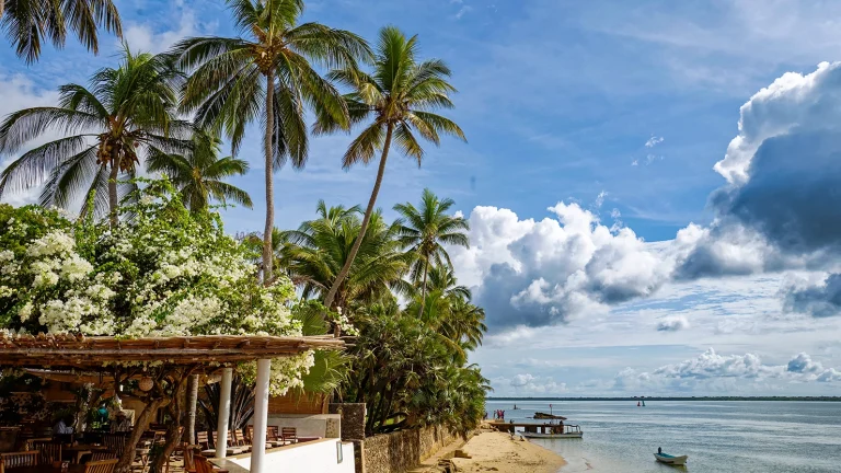 Peponi Hotel verandah protected by a bamboo pergola with overgrown white bougainvillea and surrounded by large palm tree's set on the Indian Ocean.