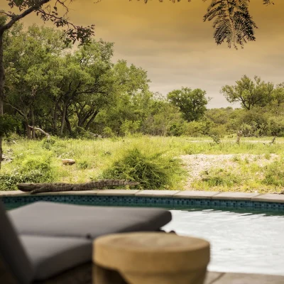 00_hero_listing_south africa_limpopo_klaserie private nature reserve_amani_ph