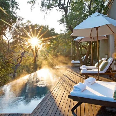 00_hero_listing_south africa_mpumalanga_thornybush game reserve_royal malewane lodge_ph