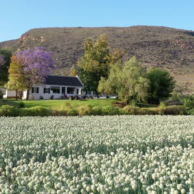 00_hero_listing_south africa_western cape_karoo_calitzdorp_danielskraal farm_ph