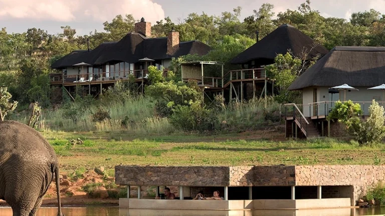 00_hero_thumbnail_south africa_limpopo_welgevonden game reserve_mhondoro_ph