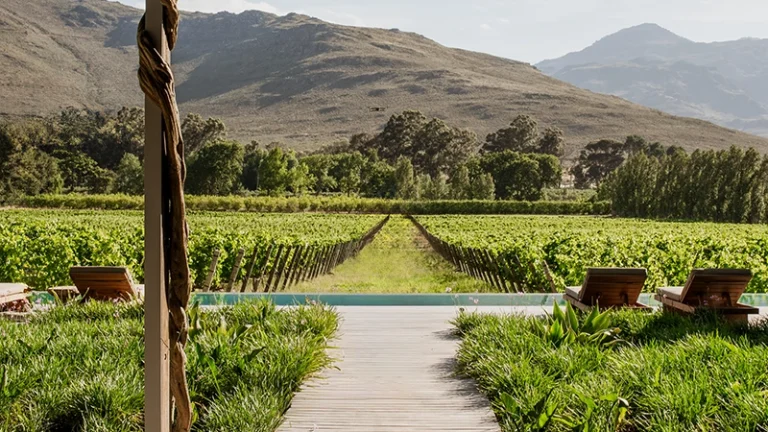 00_hero_thumbnail_south africa_western cape_cape winelands_franschhoek_maison franschhoek_ph