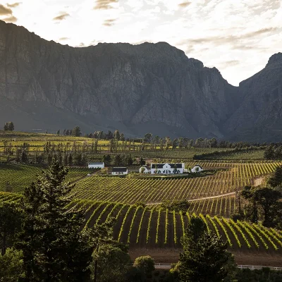 00_hero_thumbnail_south africa_western cape_cape winelands_paarl_brookdale_ph