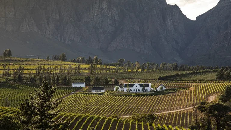 00_hero_thumbnail_south africa_western cape_cape winelands_paarl_brookdale_ph