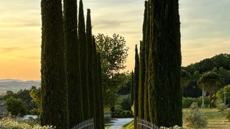 00_thumbnail_italy_umbria_collazzone_umbria farmhouse_ph