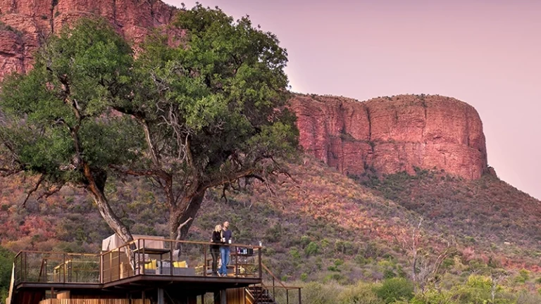 00_thumbnail_south africa_limpopo_marakele national park_marataba thabametsi treehouse_ph