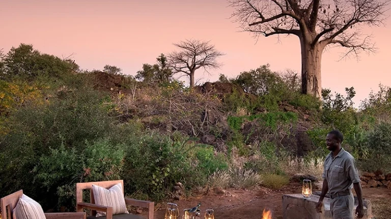 00_thumbnail_south africa_limpopo_pafuri_makuleke private concession_baobab hill_ph