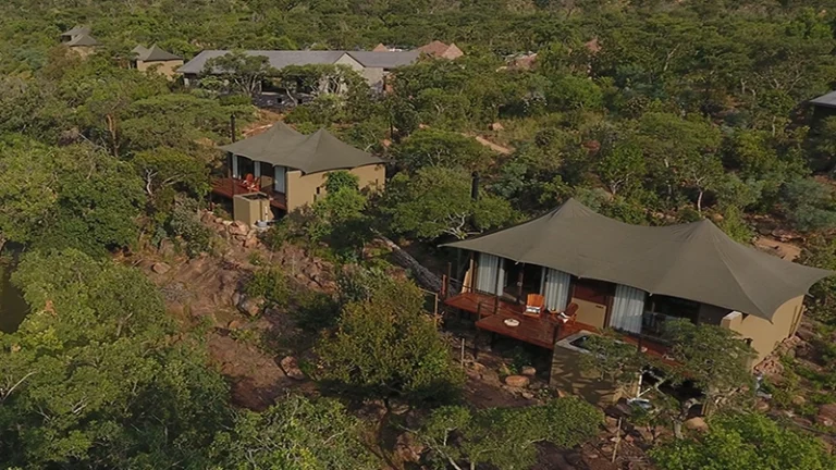 00_thumbnail_south africa_limpopo_welgevonden game reserve_inzalo_ph