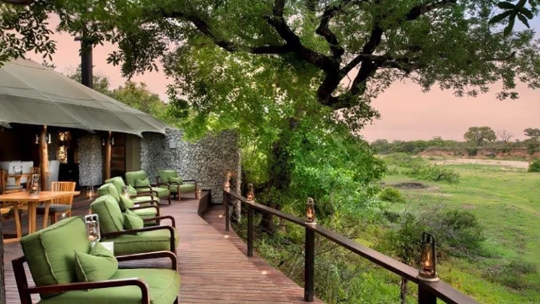 00_thumbnail_south africa_mpumalanga_kruger_ngala tented camp_ph