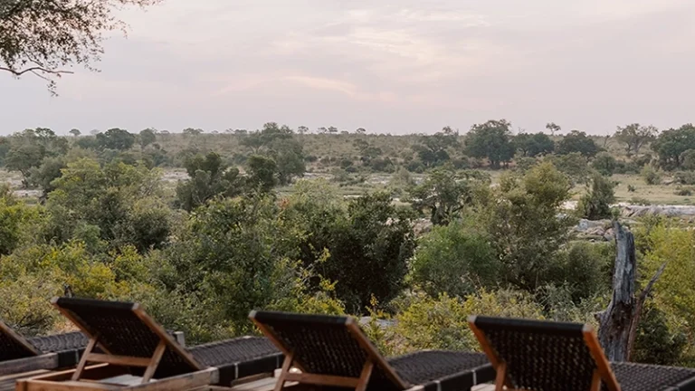 00_thumbnail_south africa_mpumalanga_mjejane private game reserve_star chestnut lodge_ph