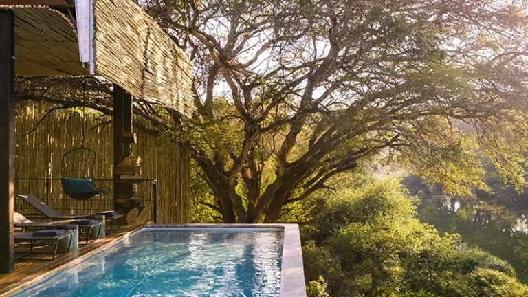 00_thumbnail_south africa_mpumalanga_singita kruger national park_singita sweni lodge_ph