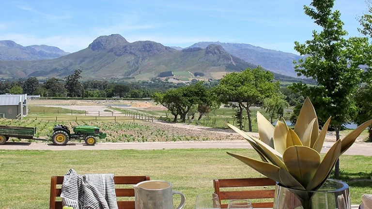 00_thumbnail_south africa_western cape_cape winelands_franschhoek_jardin de la ferme_ph