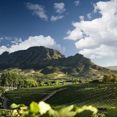 00_thumbnail_south africa_western cape_cape winelands_stellenbosch_delaire graff_ph