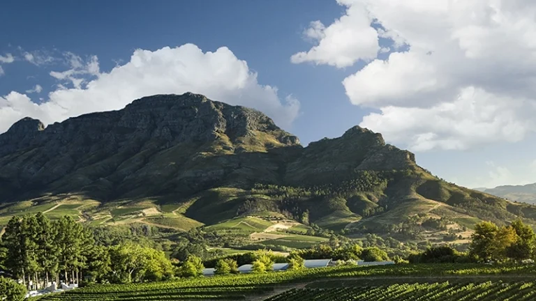 00_thumbnail_south africa_western cape_cape winelands_stellenbosch_delaire graff_ph