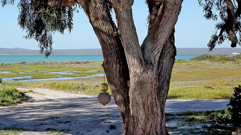 00_thumbnail_south africa_western cape_west coast_churchhaven_fishermans den_ph