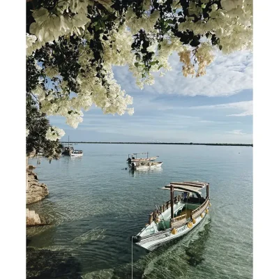 Calm, crystal blue water with traditional wooden dhow's and exposed white bougainvillea. Peponi Hotel.