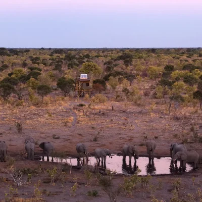 01_listing_botswana_okavango delta__khwai private reserve_sky beds_ph