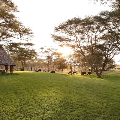 01_listing_kenya_meru county_meru_lewa wildlife conservancy_sirikoi lodge_ph