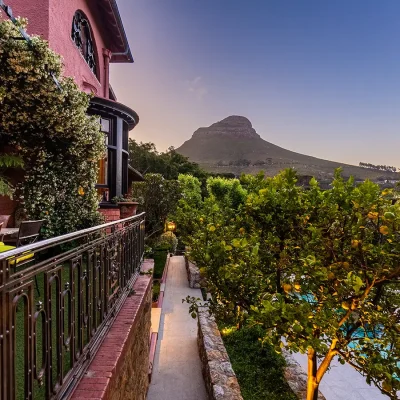 Bright pink terraced garden with full lemon tree and backdrop of Lion's Head. House Nouveau.