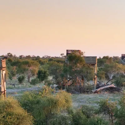 02_listing_botswana_okavango delta__khwai private reserve_sky beds_ph