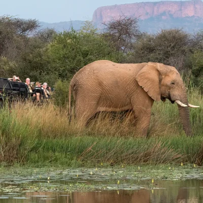 02_listing_south africa_limpopo_marakele national park_marataba mountain lodge_ph