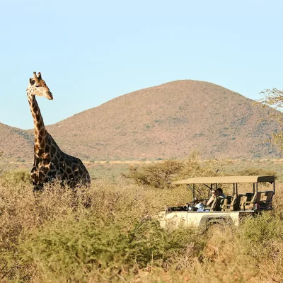 02_listing_south africa_northern cape_tswalu kalahari reserve_tarkuni homestead_ph