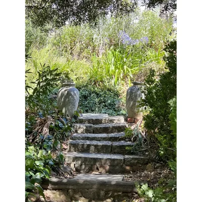 Old stone staircase in Villa Toscana garden.