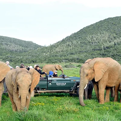 03_listing__south africa_eastern cape_kariega game reserve_settlers drift_ph