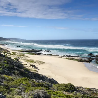 De Hoop nature reserve with long stretches of coastal vegetation, soft white sand and deep blue ocean.