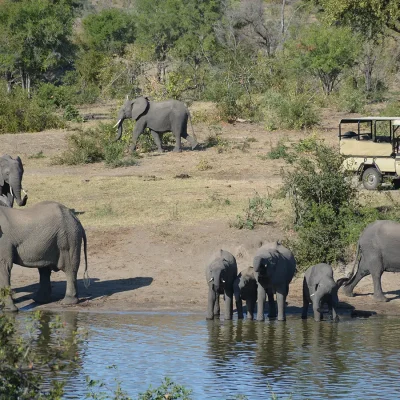 04_listing_zimbabwe_victoria falls_zambezi national park_chundu island_ph