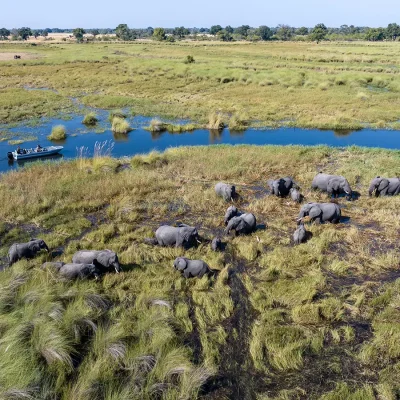 05_listing_botswana_okavango delta__northern okavango_north island_ph