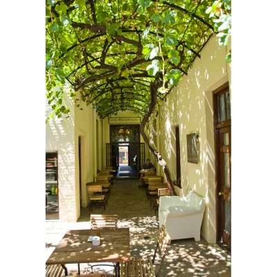 Outdoor passageway lined with small wooden tables and protected by a pergola covered in vines. Cape Heritage Hotel.