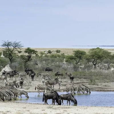 06_listing_namibia_northern namibia_etosha national park_the fort at onguma_ph