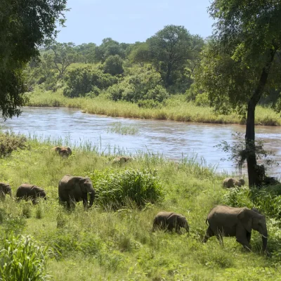 06_listing_south africa_mpumalanga_sabi sand game reserve_lion sands narina lodge_ph