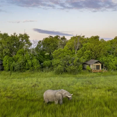 07_listing_botswana_okavango delta_khwai private reserve_little sable_ph